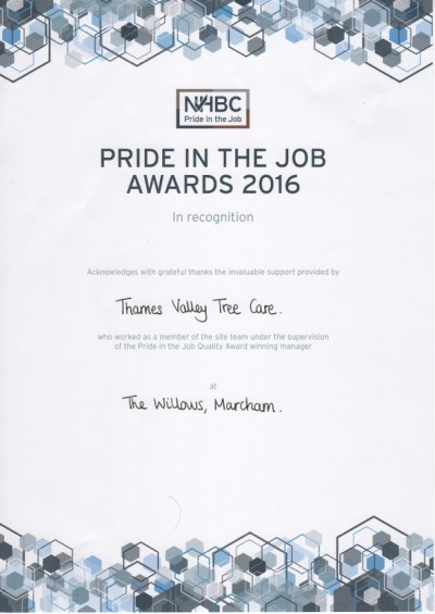 Pride in Job Award